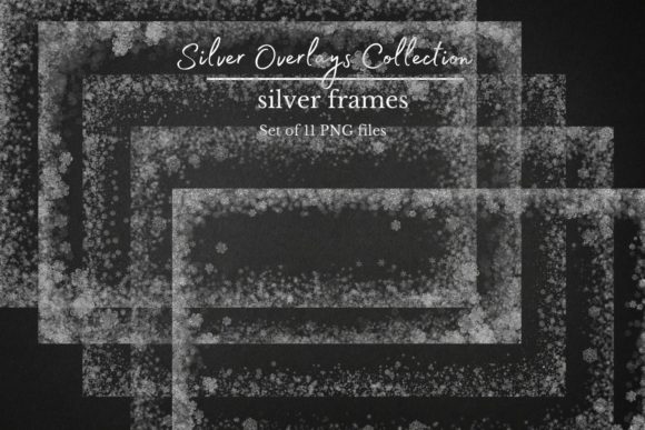 Silver Frames & Winter Overlays: A Designer's Guide