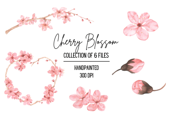 Watercolor Cherry Blossom Clipart for Elegant Design Projects